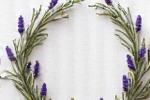 A delicate embroidered lavender wreath design, perfect for subtle personalization.